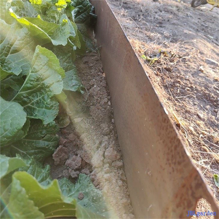 Permanent Steel Lawn Edging