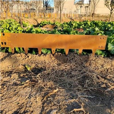 Bunga Tepi Taman Keluli Corten